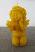 Angelas Ignas (forma)