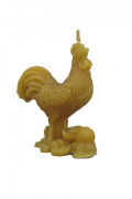 Gaidys ponas (forma)